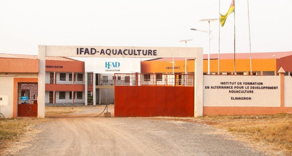 L’Agence Education-Développement (AED) recrute de nouveaux postulants au Baccalauréat professionnel en Aquaculture pour le compte de la deuxième promotion qui débute cette année académique 2021-2022 pour une durée de trois ans. Les inscriptions déjà ouvertes s’étendent jusqu’au 30 mars 2022.